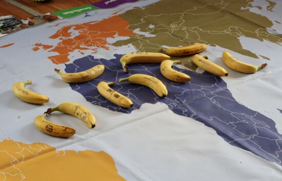 Bananen mit "Tattoos" liegen auf einer Weltspielplane, entlang der tropischen Vegetationszone in der Bananen wachsen.