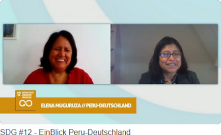 EinBlick Video SDG 12